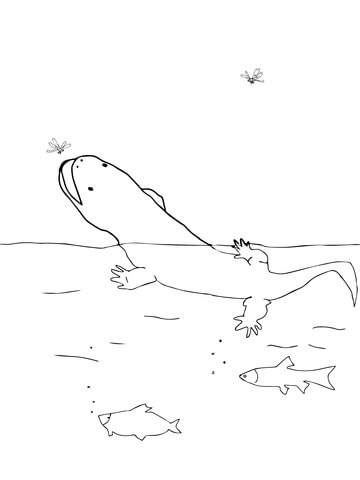 Chinese Giant Salamander Coloring Page